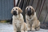 Filename=9~2.jpg
Filesize=70KiB
Dimensions=778x519
Date added=%770 %16, %2010 9~2.jpg