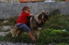 Filename=9~4.jpg
Filesize=242KiB
Dimensions=972x648
Date added=%291 %02, %2011 9~4.jpg