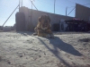Filename=Apolo_11.jpg
Filesize=342KiB
Dimensions=1280x960
Date added=%717 %02, %2015 Apolo_11.jpg