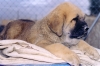 Filename=Arto5.JPG
Filesize=1503KiB
Dimensions=1720x1152
Date added=%878 %07, %2008 Arto5.JPG