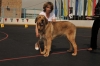 Filename=Barbaro2.jpg
Filesize=42KiB
Dimensions=640x426
Date added=%372 %22, %2009 Barbaro2.jpg