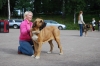 Filename=Becky.jpg
Filesize=200KiB
Dimensions=640x428
Date added=%593 %22, %2009 Becky.jpg