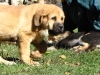 Filename=Bolt_2.JPG
Filesize=868KiB
Dimensions=1490x1119
Date added=%105 %06, %2012 Bolt_2.JPG