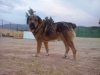 Filename=CAM02677.jpg
Filesize=1187KiB
Dimensions=2560x1920
Date added=%712 %02, %2015 CAM02677.jpg
