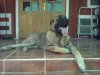 Filename=CAM02814.jpg
Filesize=1314KiB
Dimensions=2560x1920
Date added=%474 %28, %2015 CAM02814.jpg