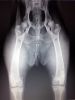 Filename=CAM02823.jpg
Filesize=1064KiB
Dimensions=1920x2560
Date added=%472 %28, %2015 CAM02823.jpg