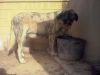 Filename=CAM02913.jpg
Filesize=1199KiB
Dimensions=2560x1920
Date added=%391 %10, %2015 CAM02913.jpg