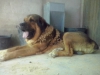 Filename=CAM03052.jpg
Filesize=1068KiB
Dimensions=2560x1920
Date added=%790 %03, %2015 CAM03052.jpg