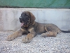 Filename=CAM03080.jpg
Filesize=1394KiB
Dimensions=2560x1920
Date added=%789 %03, %2015 CAM03080.jpg