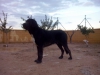 Filename=CAM03349.jpg
Filesize=1174KiB
Dimensions=2560x1920
Date added=%612 %10, %2015 CAM03349.jpg