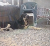 Filename=CAM03595-1.jpg
Filesize=869KiB
Dimensions=2072x1914
Date added=%835 %03, %2015 CAM03595-1.jpg