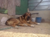 Filename=CAM03847.jpg
Filesize=1487KiB
Dimensions=2560x1920
Date added=%700 %25, %2016 CAM03847.jpg