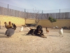 Filename=CAM03856.jpg
Filesize=1628KiB
Dimensions=2560x1920
Date added=%701 %25, %2016 CAM03856.jpg