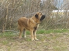 Filename=CIMG1821.JPG
Filesize=124KiB
Dimensions=640x480
Date added=%578 %06, %2010 CIMG1821.JPG