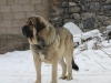 Filename=Cachapo1.JPG
Filesize=209KiB
Dimensions=800x600
Date added=%990 %03, %2010 Cachapo1.JPG