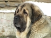 Filename=Cachapo2.JPG
Filesize=225KiB
Dimensions=800x600
Date added=%989 %03, %2010 Cachapo2.JPG