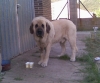 Filename=Cooper_18-05-2010.jpg
Filesize=132KiB
Dimensions=790x660
Date added=%428 %25, %2010 Cooper_18-05-2010.jpg