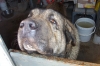 Filename=DCP_1770.JPG
Filesize=177KiB
Dimensions=900x600
Date added=%965 %09, %2007 DCP_1770.JPG