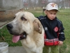 Filename=DSC00415.JPG
Filesize=147KiB
Dimensions=640x480
Date added=%484 %06, %2008 DSC00415.JPG
