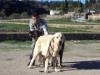 Filename=DSC02100.JPG
Filesize=163KiB
Dimensions=640x480
Date added=%364 %22, %2012 DSC02100.JPG