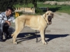 Filename=DSC02103.JPG
Filesize=162KiB
Dimensions=640x480
Date added=%374 %22, %2012 DSC02103.JPG