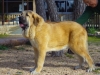 Filename=DSC02854.JPG
Filesize=164KiB
Dimensions=640x480
Date added=%549 %13, %2014 DSC02854.JPG