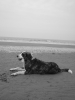 Filename=DSC03431.JPG
Filesize=759KiB
Dimensions=1224x1632
Date added=%612 %22, %2009 DSC03431.JPG