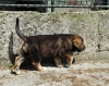 Filename=DSC_0007.jpg
Filesize=274KiB
Dimensions=925x737
Date added=%796 %23, %2011 DSC_0007.jpg