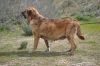 Filename=DSC_0010.jpg
Filesize=372KiB
Dimensions=1936x1296
Date added=%810 %29, %2011 DSC_0010.jpg