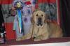 Filename=DSC_0041.JPG
Filesize=116KiB
Dimensions=800x531
Date added=%662 %20, %2012 DSC_0041.JPG