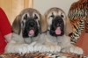 Filename=DSC_0122.JPG
Filesize=134KiB
Dimensions=800x533
Date added=%660 %20, %2012 DSC_0122.JPG