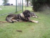 Filename=Daio_de_Anaise_(_20_meses_).JPG
Filesize=138KiB
Dimensions=640x480
Date added=%749 %01, %2010 Daio_de_Anaise_(_20_meses_).JPG