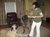 Filename=De_Niro_s_second_Bday_looking_at_the_cake.JPG
Filesize=98KiB
Dimensions=912x684
Date added=%672 %18, %2010 De_Niro_s_second_Bday_looking_at_the_cake.JPG