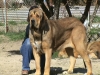 Filename=Diana_.JPG
Filesize=284KiB
Dimensions=640x480
Date added=%928 %28, %2010 Diana_.JPG
