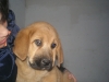 Filename=Elma_y_Lourdes.JPG
Filesize=189KiB
Dimensions=1500x1125
Date added=%912 %06, %2010 Elma_y_Lourdes.JPG