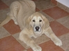 Filename=Envy_.jpg
Filesize=33KiB
Dimensions=448x336
Date added=%645 %18, %2007 Envy_.jpg