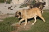 Filename=E~0.jpg
Filesize=187KiB
Dimensions=972x648
Date added=%877 %04, %2009 E~0.jpg
