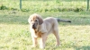 Filename=Fanegas_1.JPG
Filesize=632KiB
Dimensions=1920x1080
Date added=%428 %02, %2012 Fanegas_1.JPG