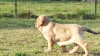 Filename=Fanegas_2.JPG
Filesize=634KiB
Dimensions=1920x1080
Date added=%427 %02, %2012 Fanegas_2.JPG