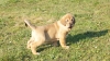 Filename=Fanegas_3.JPG
Filesize=660KiB
Dimensions=1920x1080
Date added=%426 %02, %2012 Fanegas_3.JPG