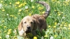 Filename=Fanegas_3~0.JPG
Filesize=642KiB
Dimensions=1920x1080
Date added=%668 %09, %2012 Fanegas_3~0.JPG