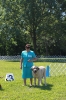 Filename=GARDEN_STATE_CLASSIC-KCUSA_6-3-12_TANYA_LOOKING_PRETTY_IN_RING.JPG
Filesize=577KiB
Dimensions=792x1188
Date added=%837 %05, %2012 GARDEN_STATE_CLASSIC-KCUSA_6-3-12_TANYA_LOOKING_PRETTY_IN_RING.JPG
