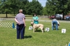 GARDEN_STATE_CLASSIC_-KCUSA_6-3-12__1ST_WOMAN_JUDGE_BLUE_PANTS.JPG