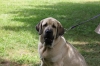 Filename=GARDEN_STATE_CLASSIC_KCUSA_6-3-12_CUTE_TATYANA_SITTING.JPG
Filesize=326KiB
Dimensions=1188x792
Date added=%831 %05, %2012 GARDEN_STATE_CLASSIC_KCUSA_6-3-12_CUTE_TATYANA_SITTING.JPG