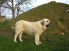 Filename=GetAttachment88.jpg
Filesize=75KiB
Dimensions=640x480
Date added=%899 %06, %2009 GetAttachment88.jpg