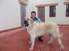 Filename=Golfo_de_Arasanz.jpg
Filesize=292KiB
Dimensions=1600x1200
Date added=%717 %02, %2015 Golfo_de_Arasanz.jpg