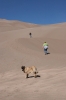 Filename=Great_Sand_Dunes_Colorado_(233).JPG
Filesize=124KiB
Dimensions=667x1000
Date added=%187 %03, %2009 Great_Sand_Dunes_Colorado_(233).JPG