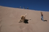 Filename=Great_Sand_Dunes_Colorado_(314).JPG
Filesize=126KiB
Dimensions=1000x667
Date added=%185 %03, %2009 Great_Sand_Dunes_Colorado_(314).JPG