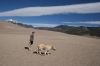 Filename=Great_Sand_Dunes_Colorado_(416).JPG
Filesize=158KiB
Dimensions=1000x667
Date added=%190 %03, %2009 Great_Sand_Dunes_Colorado_(416).JPG
