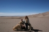 Great_Sand_Dunes_Colorado_(71).JPG